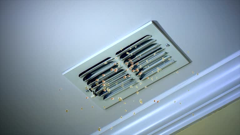 Best General Air Duct Cleaning  in Val Verde Park, TX